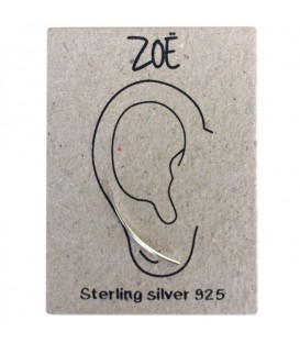 zilveren (925) oorbellen (earline)