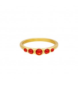 goudkleurige ring met vijf rode zirkoonsteentjes (16)