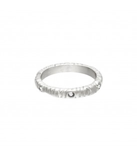 Zilverkleurige ring met zirkoonsteentjes en zebrastrepen (17)