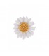 Witte broche in madelief vorm