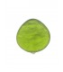 Oorclips groen met een parelmoerlook van Culture mix