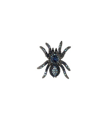 Mooie broche in de vorm van een spin