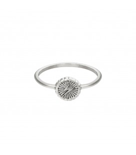 Zilverkleurige ring met stralende donder (16)