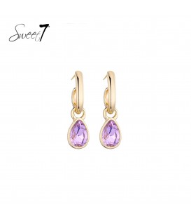 Oorbellen met goudkleurige ring met een paarse hanger